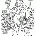 Друзья Покахонтас