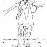 Мустанг Спирит