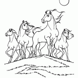 Племя прерий