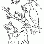 Сова и Спирит 