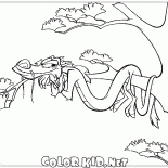 Мушу на отдыхе