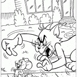 Том догоняет Джерри