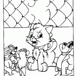 Котенок попал в беду