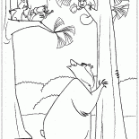 Сосны белок