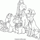 Вся компания