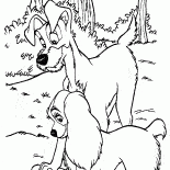 Сердце