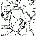 Леди гуляет с Бродягой