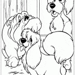 Бродяга и его друзья