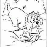 Тайник с косточками