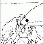 Леди и друзья Бродяги