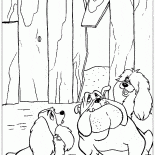 Бродячие собаки