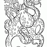 Большой Осьминог