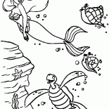 Ариэль и Черепаха