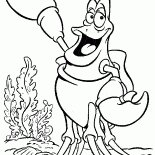 Краб Себастьян