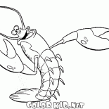 Певчая креветка