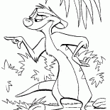 Философ-сурикат 