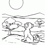 Симба и солнце