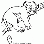 Симба на дереве