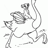 Симба на страусе