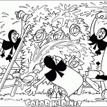 Перекрашивают розы