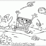 Медузы в погоне