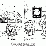 Губка Боб и Белка