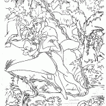 Тарзан и Джейн