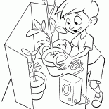 Льюис судит цветы