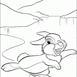 Заяц на льду