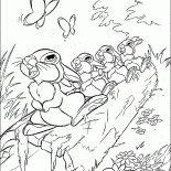 Зайцы барабанят