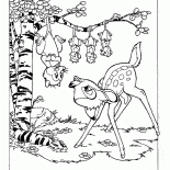 Опоссумы и Бэмби