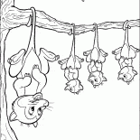 Опоссумы в ожидании