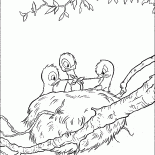 Гнездо с птенцами