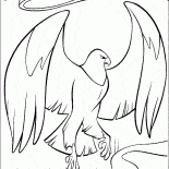 Орел-хранитель