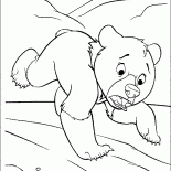 Маленький медвежонок