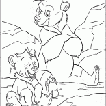 Кода и Кенаи