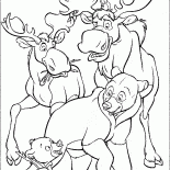 Лоси и медведи