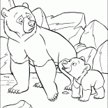 Кенаи и Кода в раздумьях