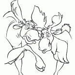 Лоси веселятся