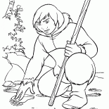 Следы медведя