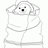 Медвежонок спрятался 