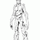 Живое дерево