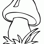 Гриб