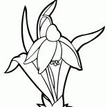 Подснежник