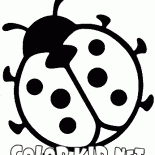 Божья коровка