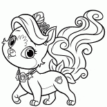 Котенок Жемчужинка