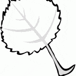 Осиновый лист