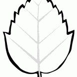 Лист дерева