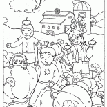 Тыква на грядке