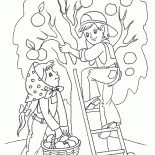 Сбор урожая весной